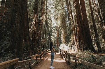 Woman standing on a trail with trees on both sides